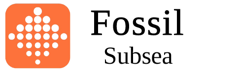 Fossil Subsea LLC